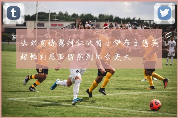 法尔克透露拜仁欲将小伊布出售英超帕利尼亚留热刺机会更大