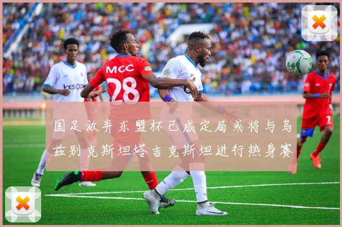 国足放弃东盟杯已成定局或将与乌兹别克斯坦塔吉克斯坦进行热身赛